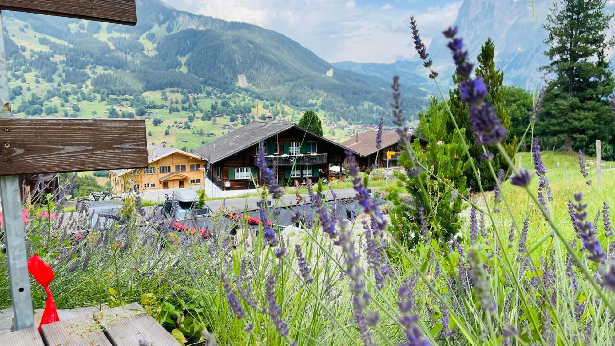 Hotel Jaegerstuebli Grindelwald Eksteriør billede